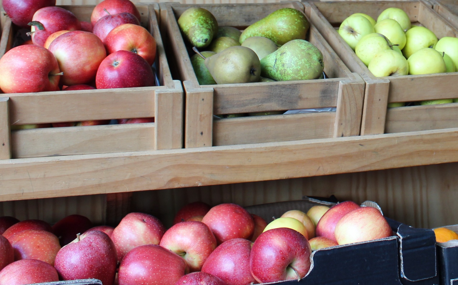 Una manzana, después de ser tratada con productos químicos en el campo, recibe una capa de cera para que luzca más brillante y apetecible. Foto: LGE.